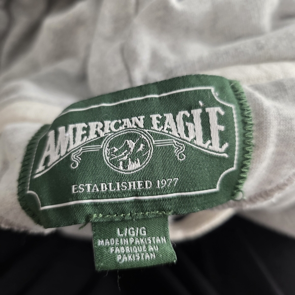 American Eagle Outfitters Gray Hoodie with Green Logo - Picture 7 of 8
